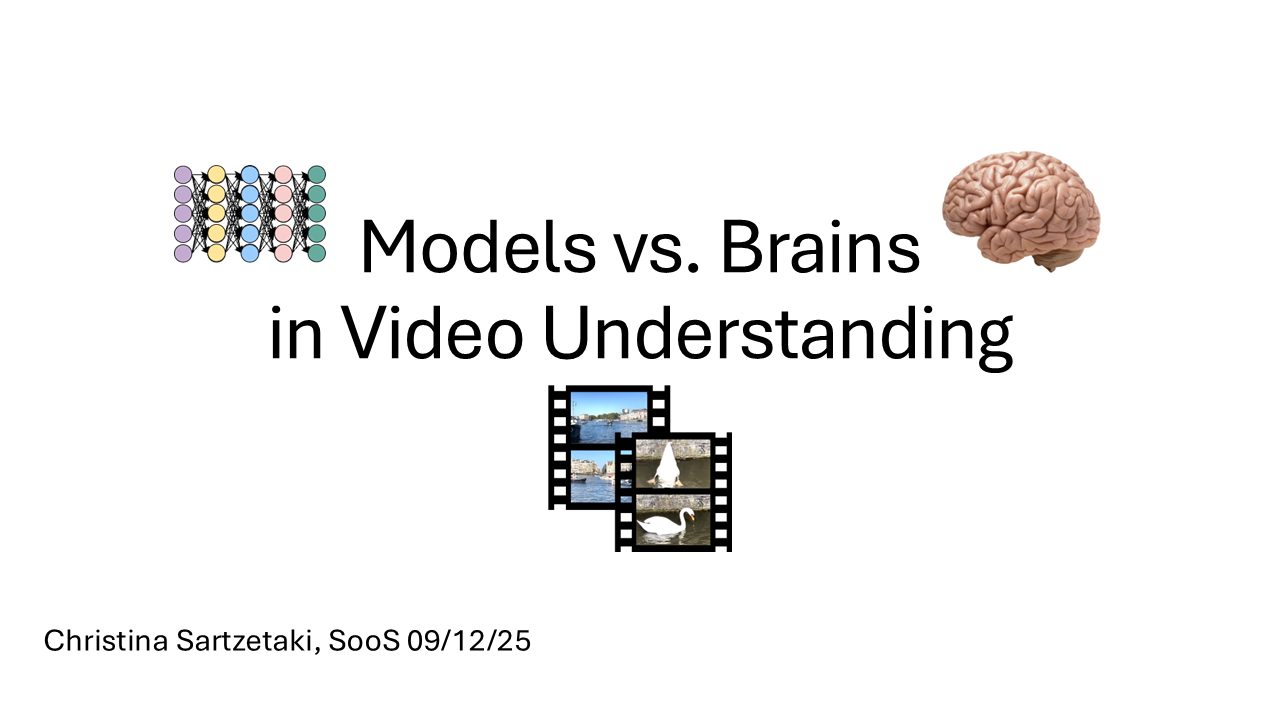 Models vs. Brains in Video Understanding