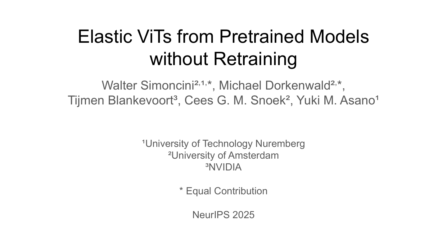 Elastic ViTs from Pretrained Models without Retraining